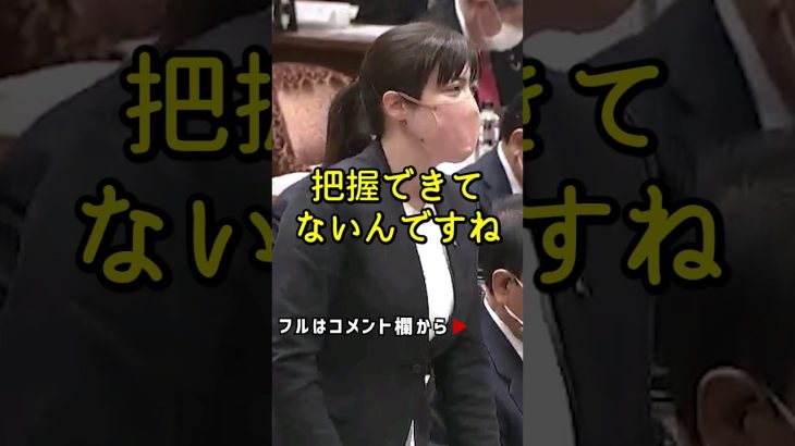 小野田紀美「政府のダメな所をビシバシ挙げていく」【スカッと】国会中継