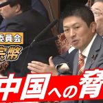 【速報】対中国への脅威【財政金融委員会】神谷宗幣