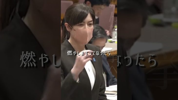 【本末転倒】プラスチックごみを焼却炉にブチ込むしかなくなる【小野田紀美・国会】