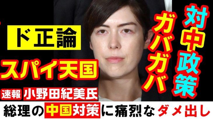 速報 小野田紀美 総理の中国対策に痛烈なダメ出し「危機感薄くてガバガバ」「土地、学術、スパイ対策、在留資格等々..」