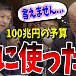 【暴露】100兆円の予算の詳細が言えないだって！？神谷宗幣が医療業界の闇を暴く！鈴木財務大臣のズレた発言には絶句…