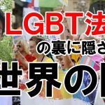 参政党がLGBT法案に反対する理由【神谷宗幣】