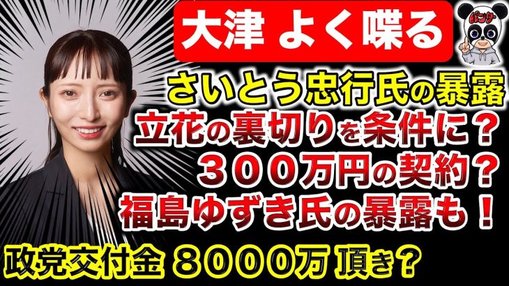 【胸糞】どこがスケルトン？裏でコソコソ！政党交付金も頂き？さいとう忠行氏の暴露と福島ゆずき氏の暴露！みんなで作る党は衆人環視の運営ではなかったのか？NHK党の今後は？