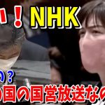 小野田紀美「NHKっていります？」