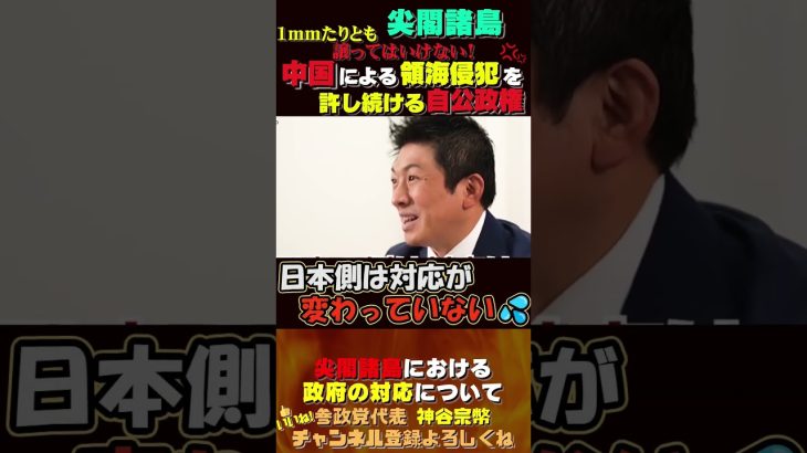 【ほぼ毎日領海侵犯】自公政権弱腰の尖閣問題 #神谷宗幣 #参政党 #政治