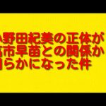 小野田紀美の正体が高市早苗との関係から明らかになった件について。