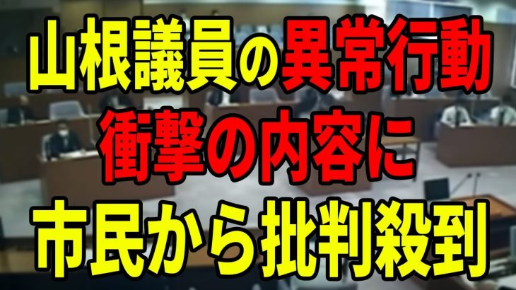 【ねちねちが止まらない】山根議員の仰天行動に絶句…市長の足を引っ張るためなら何でもする【安芸高田市 / 石丸市長 / 山根温子】