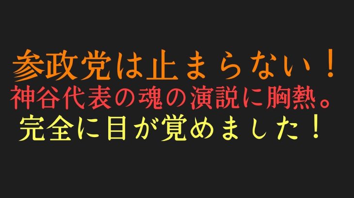 参政党は止まらない！神谷代表の演説に感動が止まらない！