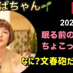 【葉っぱちゃん】なんだって？文春砲?!【ちょこっトーク】#参政党 #神谷宗幣 #文春砲