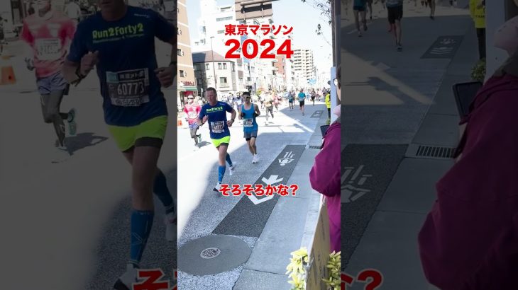 【石丸市長】東京マラソン2024の応援に行ってきました！ #石丸市長 #安芸高田市 #東京マラソン