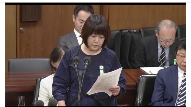 【共同親権】4月3日衆議院法務委員会の参考人質疑を見ます　令和6年4月7日　共同養育計画の導入がカギ？