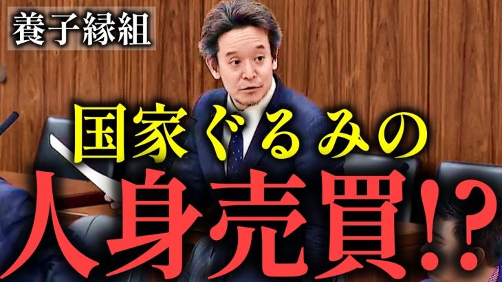 【浜田聡】数百人の子供が海外へ!?養子縁組NPO法人の闇【ベビーライフ フローレンス 小池百合子 共同親権 山本太郎】