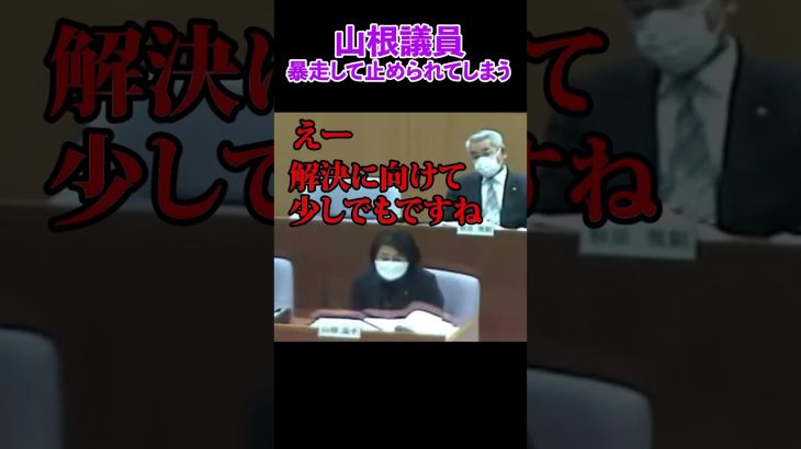 「もう口を開くな！」仲間に止められる山根議員【安芸高田市 / 石丸市長 / 山根議員】