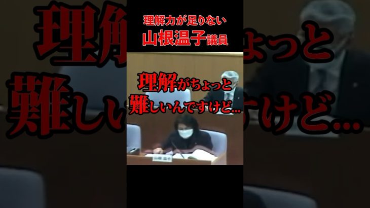 【山根議員】理解がちょっと… 【安芸高田市 / 石丸市長 / 山根温子議員】