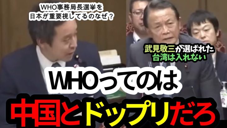 【浜田聡、浜田議員、WHO事務局長】WHOって要は中国組織だろぅ by 麻生太郎【国会切り抜き】麻生太郎 名言、浜田聡 国会切り抜き