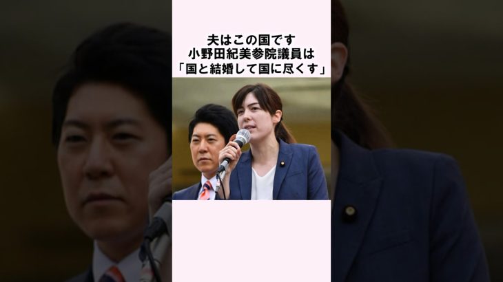 「日本と結婚します」小野田紀美議員に関する嘘みたいな雑学 #shorts #雑学 #豆知識