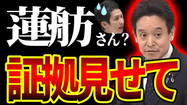 浜田聡が蓮舫等の二重国籍についてシッカリと取り上げたシーン…！