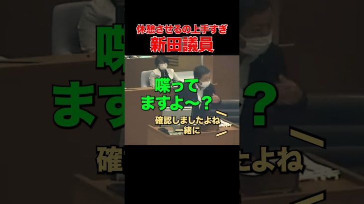 【煽り散らかし】最終的にいつもこれな安芸高田市 #石丸市長 #安芸高田市 #新田議員