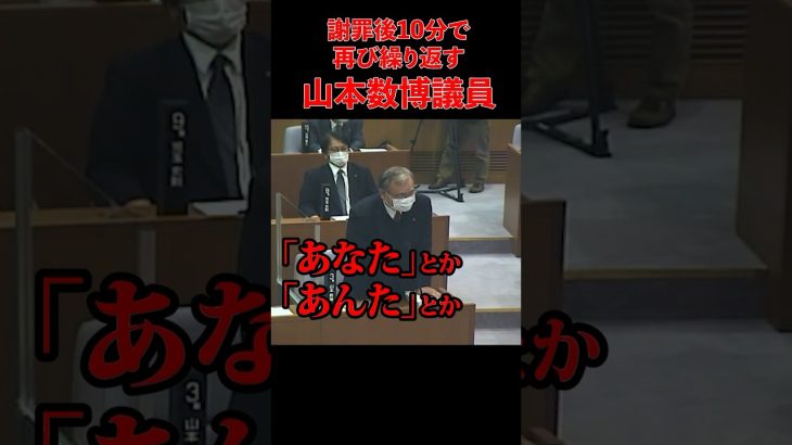 「あんた」るるの口癖【安芸高田市 / 石丸市長 / 山本数博議員】