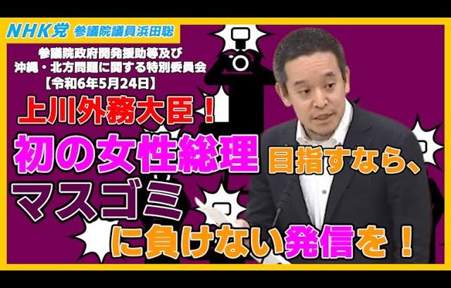 沖縄県庁PFOS流出隠蔽、石垣港での全港湾によるテロ、椎名悦三郎外務大臣の番犬様発言、等について質問　参議院政府開発援助等及び沖縄・北方問題に関する特別委員会2024年5月24日