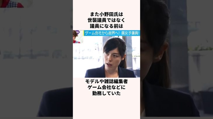 「C国に忖度するな」小野田紀美議員についての雑学