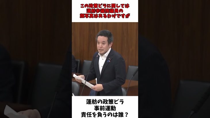 都知事選 蓮舫の政策ビラ 事前運動  / NHK党 浜田聡 参議院