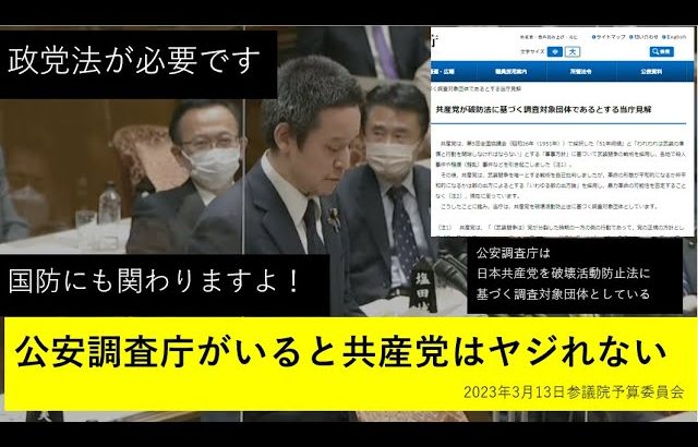 NHKから国民を守る党　浜田聡参議院議員　2023年3月13日参議院予算委員会で政党法の必要性を訴える　（公安調査庁が居たので共産党のヤジが無い）