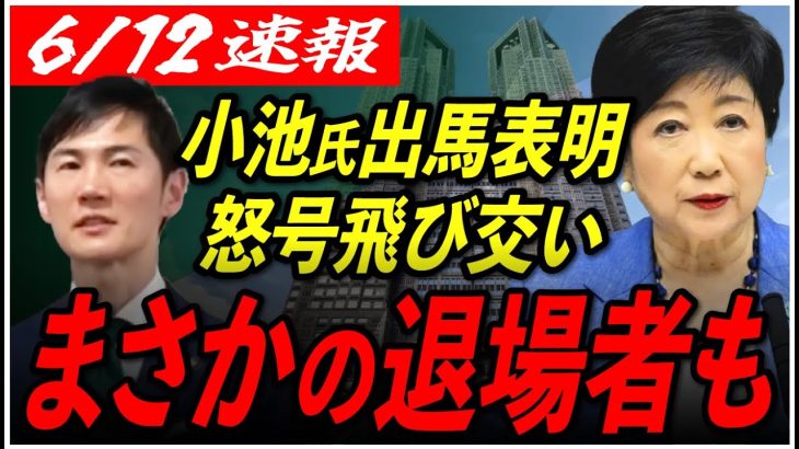 【石丸伸二氏の強敵！】遂に小池百合子氏が出馬を正式表明！しかし不信任決議が出され、ヤジが飛び交い、議会は大混乱に…！？【安芸高田市/石丸市長/東京都知事選】