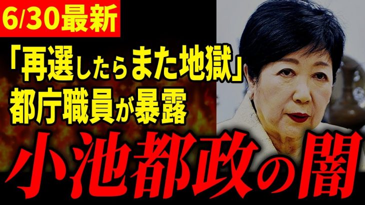 【職員限界】「小池は地獄です」気に入らないことがあればすぐ左遷実行。都庁職員が暴露【石丸伸二 / 小池百合子 / 東京都知事選】【 石丸市長 / 安芸高田市】