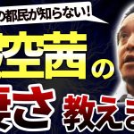 浜田聡が暇空茜と他候補者との「違い」を解説！