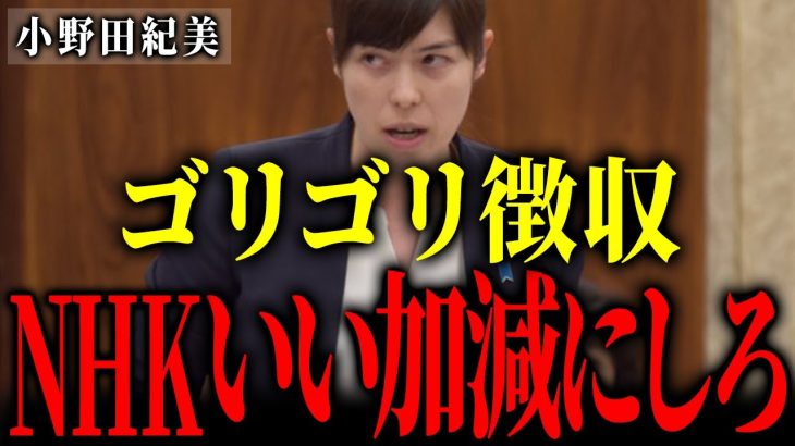 【NHKをボロカス批判】問答無用で受信料を徴収しようとするNHKに小野田紀美が国民の怒りの声をぶちまける！【国会中継】