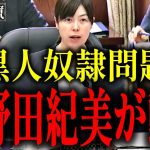 【浜田聡】実は水面下で小野田紀美さんが…【トーマス・ロックリー アサシンクリード 黒人侍 弥助 岡美穂子】