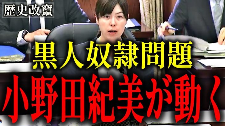 【浜田聡】実は水面下で小野田紀美さんが…【トーマス・ロックリー アサシンクリード 黒人侍 弥助 岡美穂子】