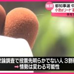 【東京都知事選】小池氏リード、蓮舫氏・石丸氏が追う…中盤の情勢分析  各陣営の受け止めは？