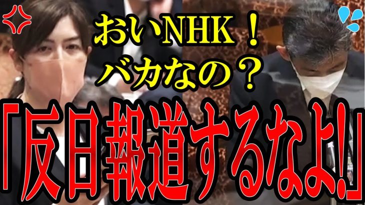 【小野田紀美】NHKがまたやらかす…反日報道をして日本に悪影響を及ぼすNHKに小野田議員がブチギレ