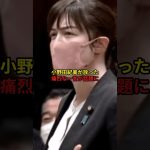 韓国の偏向思想を小野田紀美が一喝#雑学