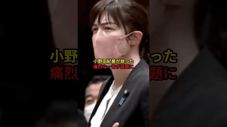 韓国の偏向思想を小野田紀美が一喝#雑学