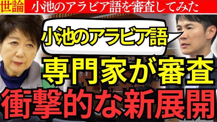 小池のアラビア語を専門家が審査、衝撃的な新展開