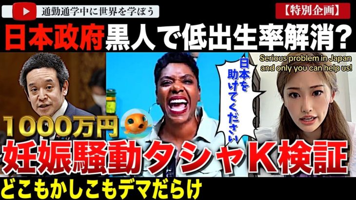 【浜田聡議員とプク時事視聴者様に贈る】日本が出生率の低下解消に黒人を呼んでいる？とんでもないデマをまき散らす黒人女性とそれを取り巻くデマ＆デマ！きちんと批判するために状況を整理しました‼️【前編】