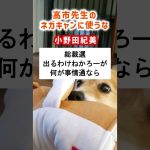 「高市先生のネガキャンに使うな」小野田紀美