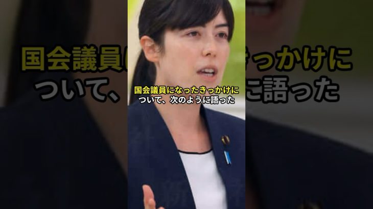 小野田紀美が政治家になったきっかけ#政治