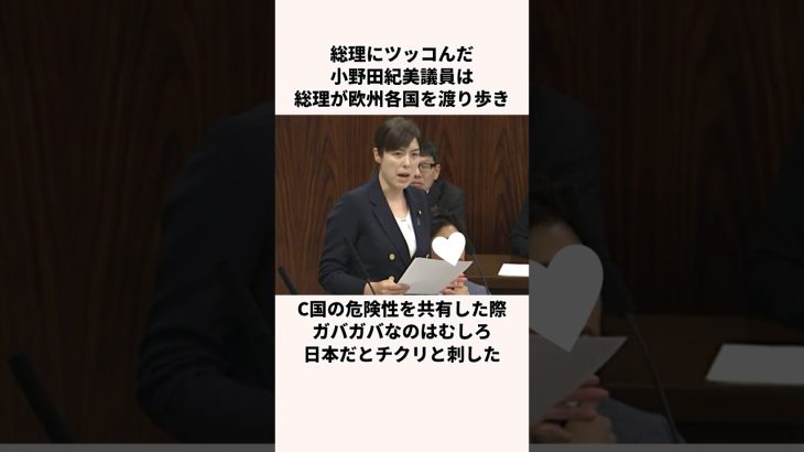 「総理にツッコんだ」小野田紀美議員についての雑学