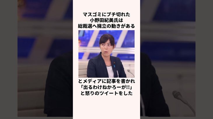 「マスゴミにブチ切れた」小野田紀美氏についての雑学