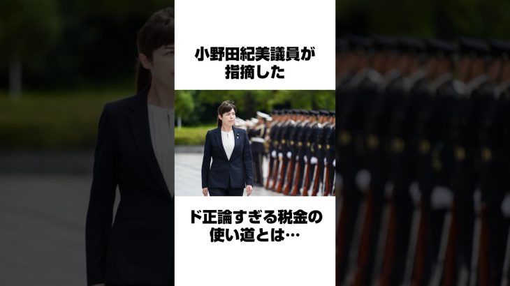 小野田紀美の一言に古株議員たちが絶句した理由 #小野田紀美 #政治 #経済 #国会