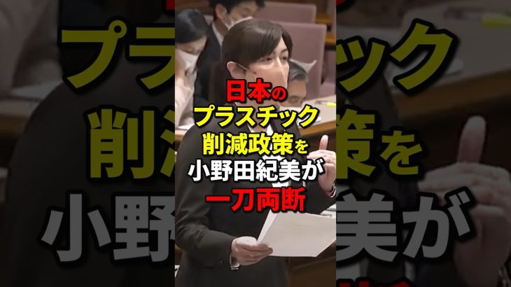 日本のプラスチック削減政策を小野田紀美が一刀両断 #小野田紀美 #海外の反応 #wcjp