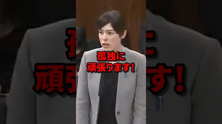 孤独に頑張ります！日本の為に孤独に戦う小野田紀美 #小野田紀美 #海外の反応 #wcjp