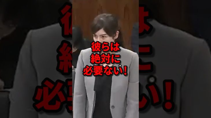 彼らは絶対に必要ない！マスコミの災害報道に小野田紀美が大激怒 #小野田紀美 #海外の反応 #wcjp