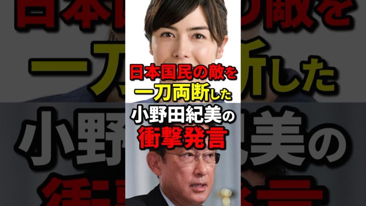 日本国民の敵を一刀両断した小野田紀美の衝撃発言 #小野田紀美 #海外の反応 #wcjp