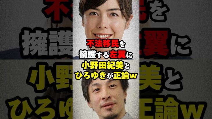 不法移民を擁護する左翼に小野田紀美とひろゆきが正論パンチww #shorts