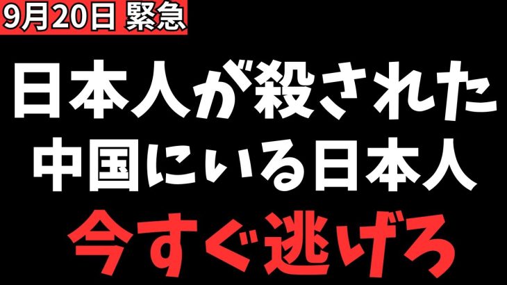 【立花孝志×浜田聡】※中国で悲惨な事件がついに起きた…中国という国はやはりおかしい国。日本政府は何をしている？【上川外務大臣総裁選出てる場合か？】【立花孝志 小泉進次郎   NHK党  切り抜き】